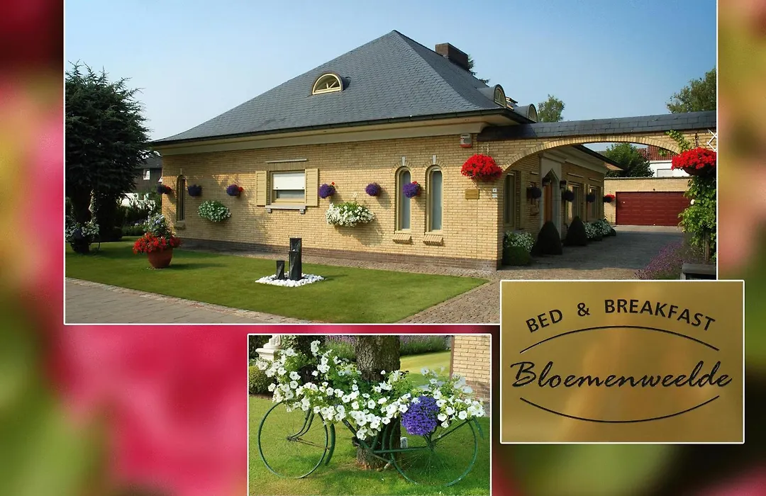 B&B Bloemenweelde-1